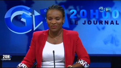 RTG/Venue du ministre du gaz,du pétrole et des hydrocabures au Gabon pour la mise en valeur du gaz