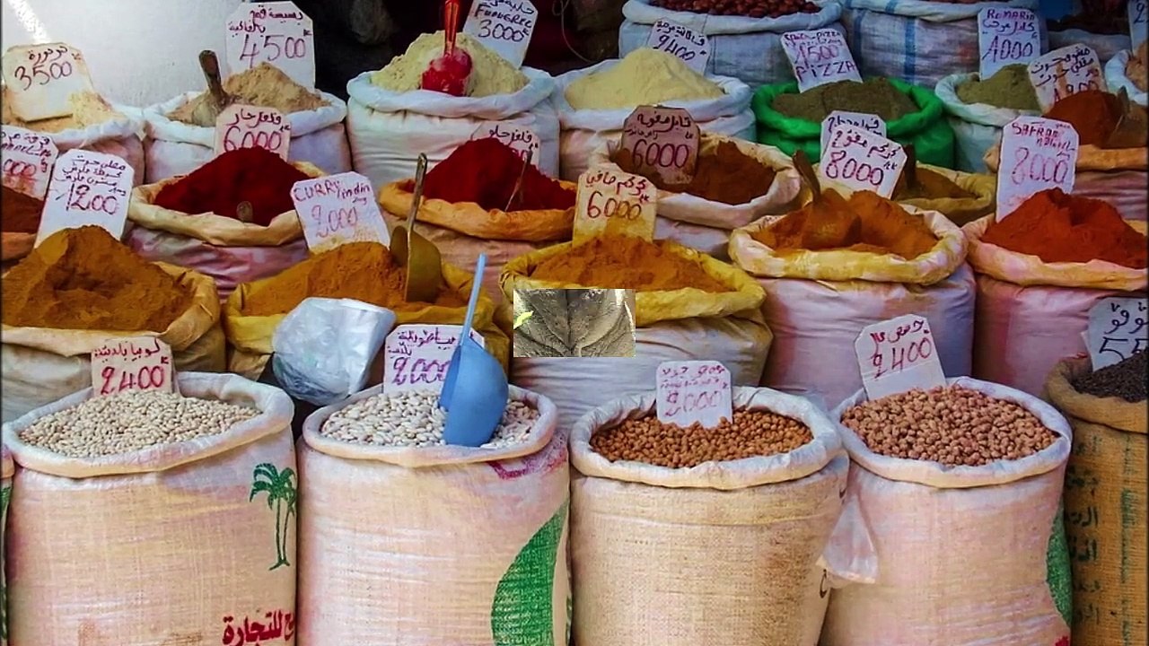 TUNESIEN (mini-Doku)