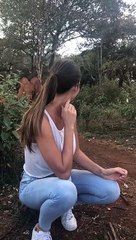 Adorable Stampede of Baby Elephants