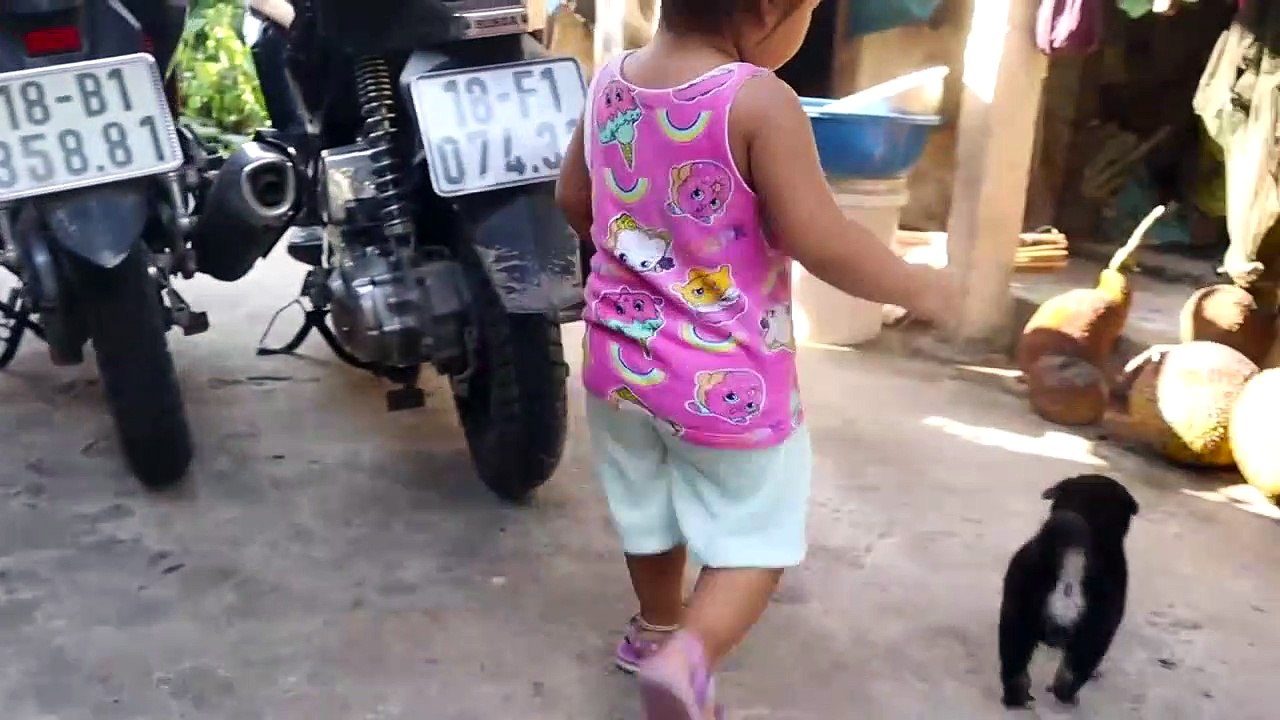 Jeu Parler Avec Chiot  Bébé Beurre TV  Jouet Mignon les Enfants - les Enfants de la Musique de Fun