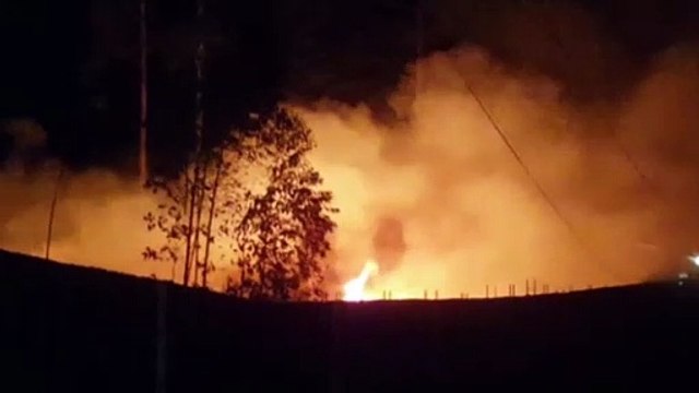 BR-369: Bombeiros combatem incêndio em área onde existiam eucaliptos