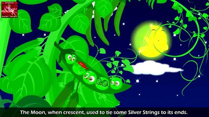 Five Peas In A Pod in English | Story | English Fairy Tales