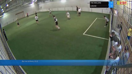 THE WAILERS  Vs LIGUGE - 20/05/19 20:00 - LIGUE 1  - Poitiers Game Parc