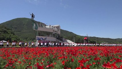 [영상] 붉은 꽃양귀비보다 열정적인 '라인댄스' / YTN