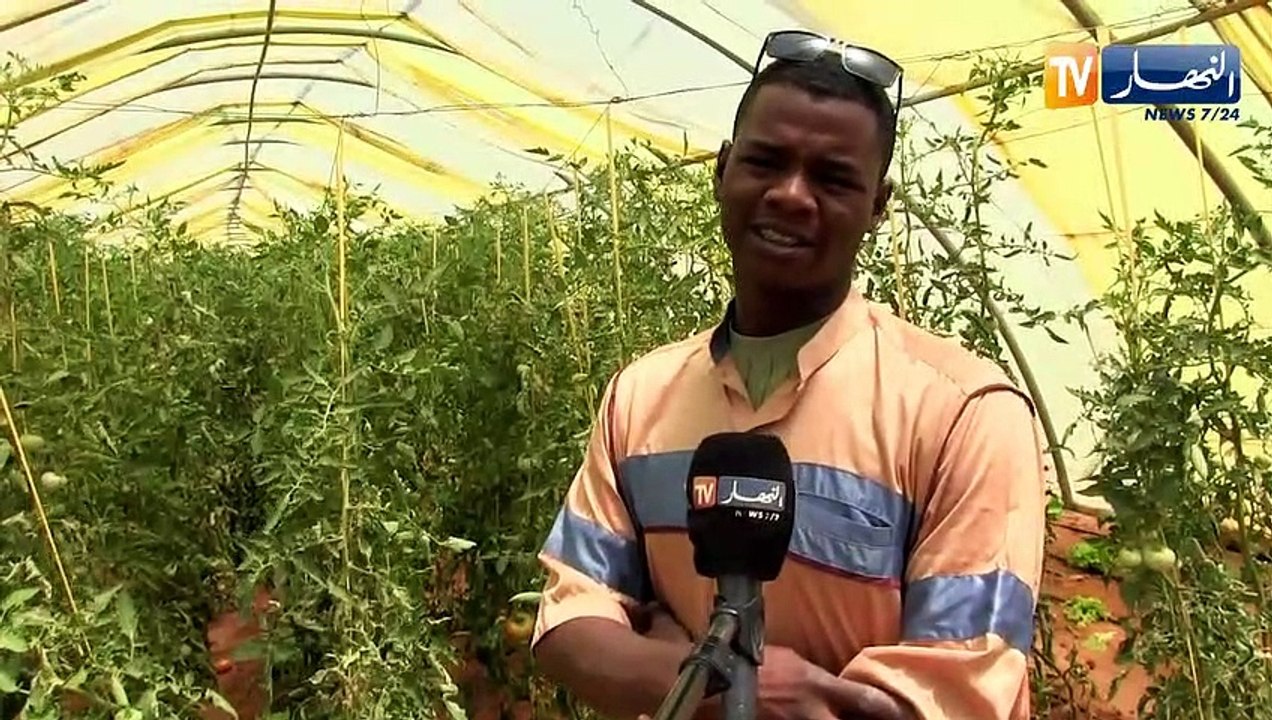 عين صالح: أراضي قاحلة تتحول لأخرى معطاء بفضل شباب طموح