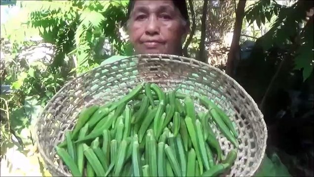 Village de la Nourriture Plein de Gombo Fry Recette préparée dans mon Village par ma Maman