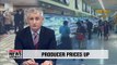 S. Korea's producer prices up 0.3% m/m in April