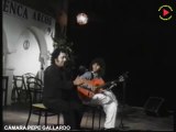 1994 JUANITO VILLAR VELA FLAMENCA LAS NIEVES ARCOS DE LA FRONTERA