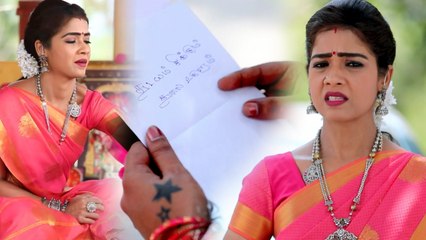 செம்பருத்தி சீரியல்: நந்தியின் புது திட்டம்- வீடியோ