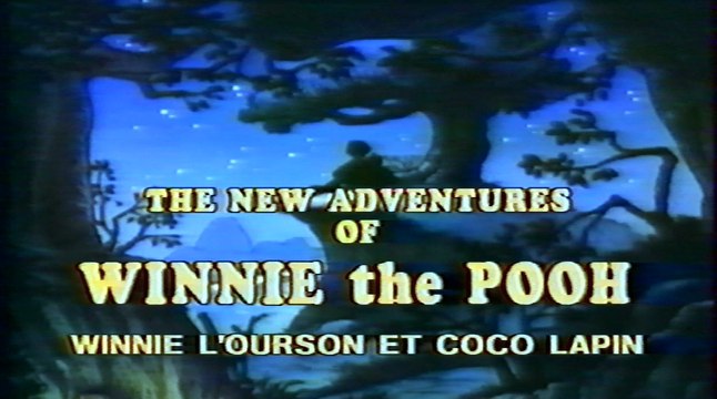 Winnie l'Ourson et Coco Lapin - Bourriquet est triste