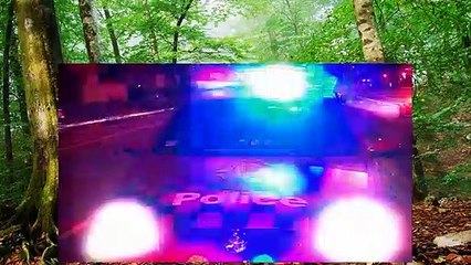 Highway Patrol   SES Rescue   S4E5