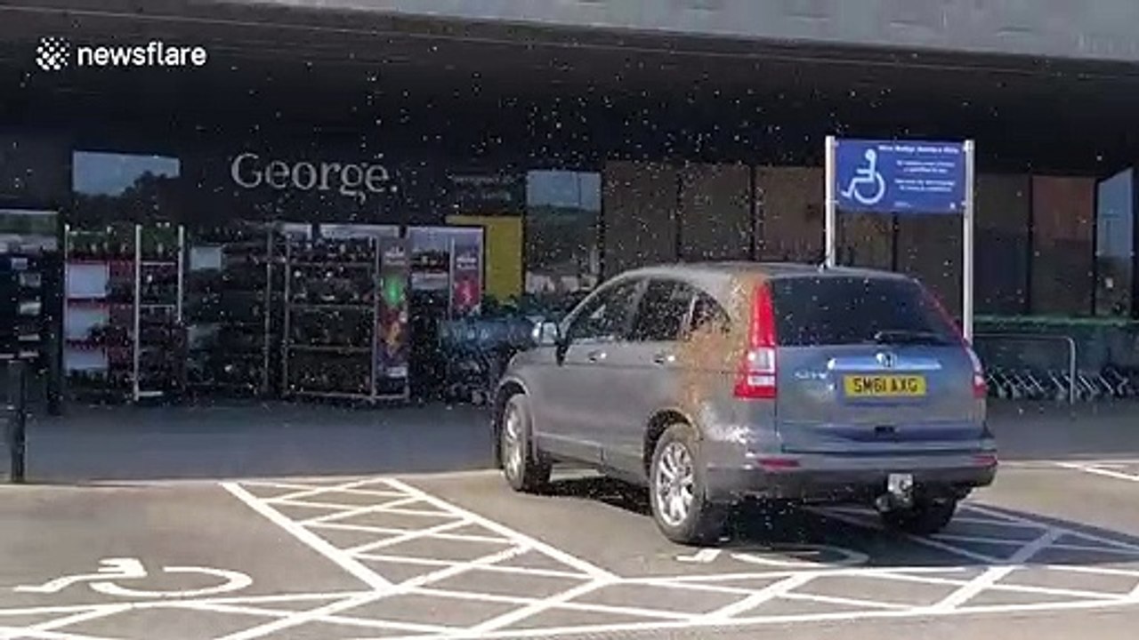 Parked car swarmed by bees outside UK supermarket
