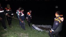 Kaçak avlanan 10 ton inci kefali suya geri bırakıldı - VAN