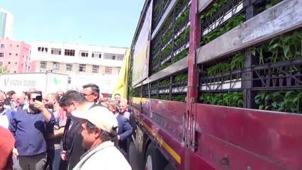 Çiftçiye fide desteği - ANKARA