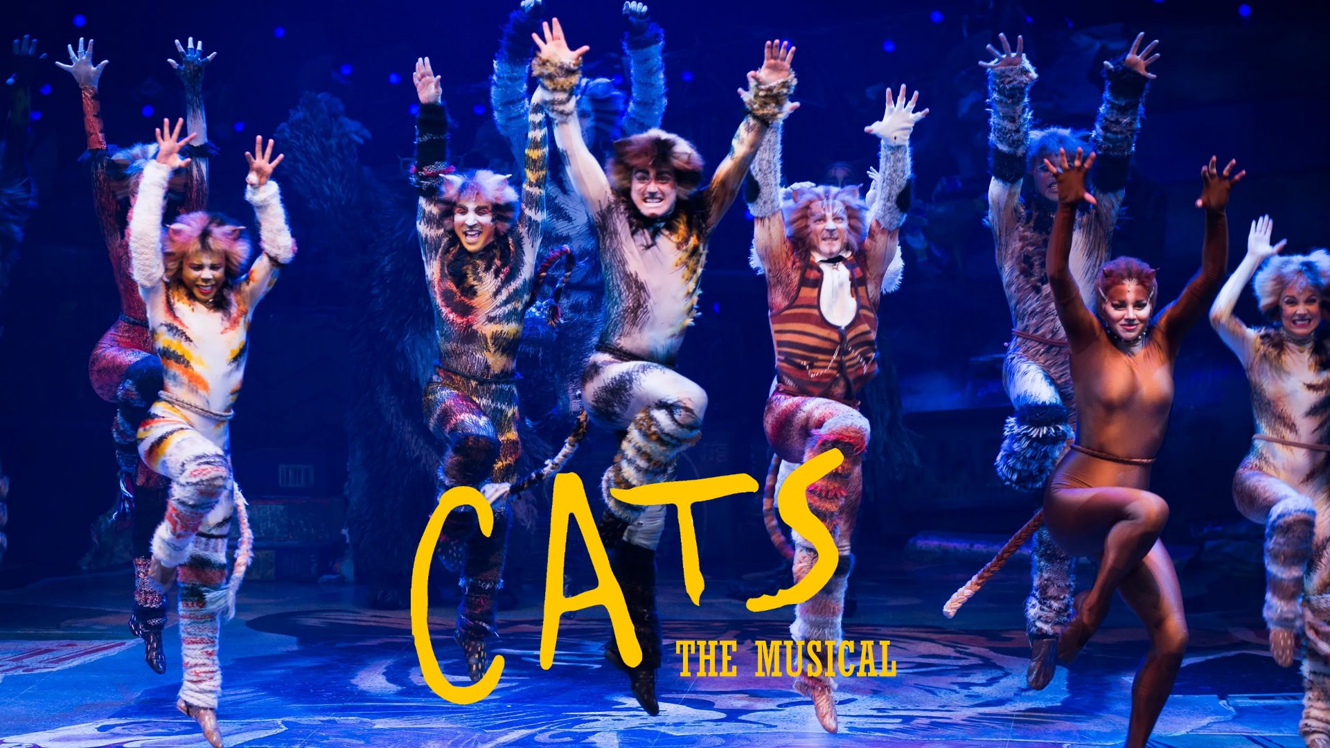 Cats': In defense of the musical movie, digital fur and all