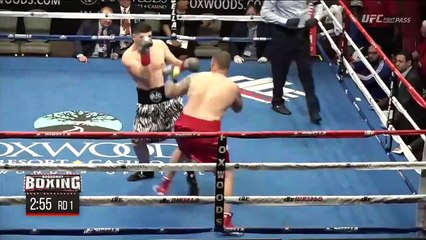 Marco Huck vs Nick Guivas Full Fight HD