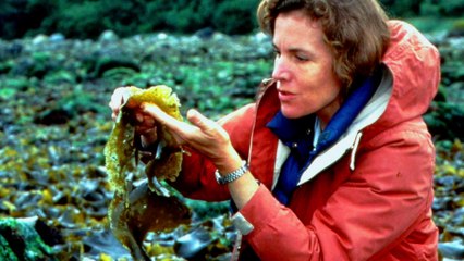 Mission Blue (2014) - Seaweed