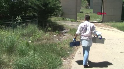 İstanbul-Beykoz'da Viyadükten Atlayarak İntihar Etti