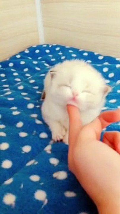 I'm so sleepy.