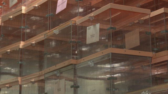 La C. Valenciana presenta su dispositivo electoral para el 26M