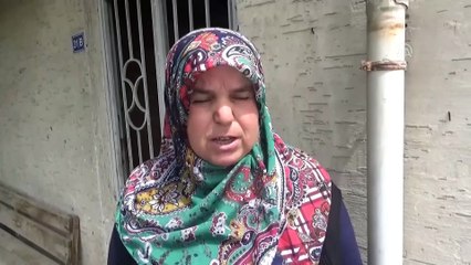 Binaların duvarında çok sayıda tırtıl görüldü - AMASYA
