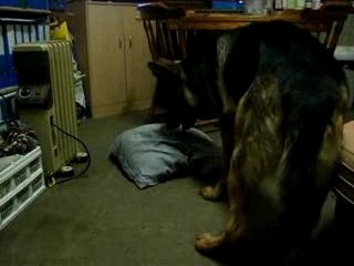 Eldo et SON oreiller 1