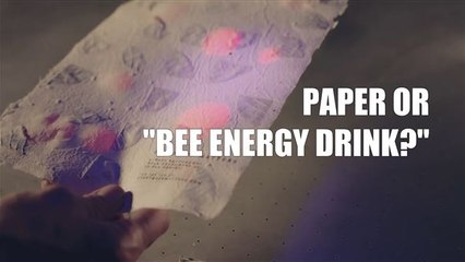 Bee Innovations: Bee-Saving Paper
