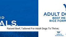 Diamond Naturals Adult Real Meat Recipe Premium Dry Dog Food With Real Pasture Raised Beef Protein