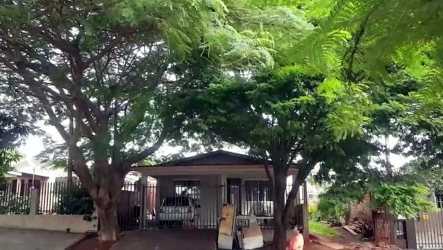 Árvore pode cair em residência e moradora pede providência