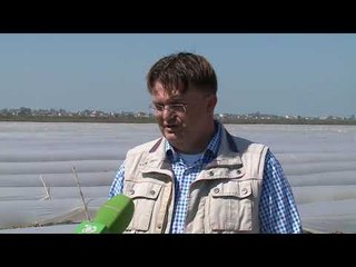 Eksportuesit ankohen: Ndryshimi i TVSH-së na ka dëmtuar  - Top Channel Albania - News - Lajme