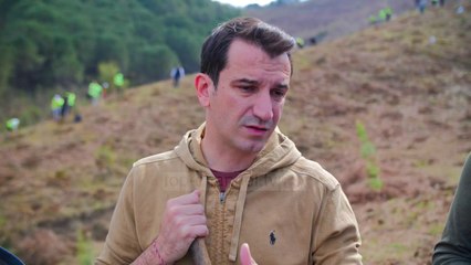 Mbillen 25 mijë pemë në zonën e Vaqarrit, ku bimësia është dëmtuar - Top Channel Albania