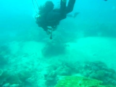 Plongée dans le lagon de Mayotte(11/2007)