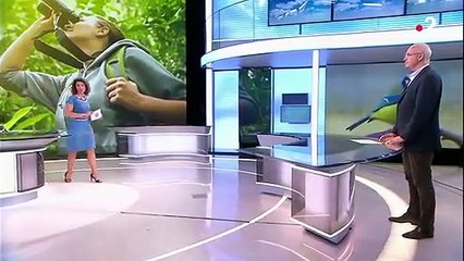 Environnement : le succès des sciences participatives