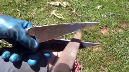 Koyun kırkma sezonu başladı - MUŞ