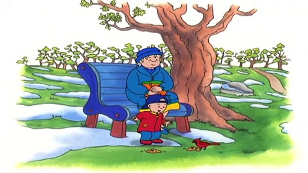 Kajtus po polsku nowe odcinki | Kajtek obserwuje ptaki | Nowy specjalny odcinek Kajtusia