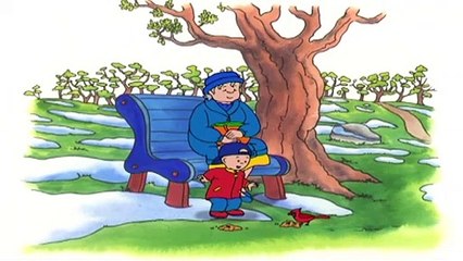 Kajtus po polsku nowe odcinki | Kajtek obserwuje ptaki | Nowy specjalny odcinek Kajtusia