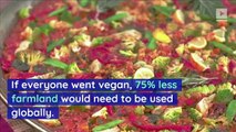 Study Says Going Vegan Is the Best Way to Save the Earth