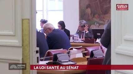 Vincent Delahaye - Public SÃÂ©nat jeudi 23 mai 2019