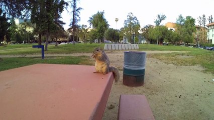 Holy Saturday- Evil Catholic people , Harased for going to MASS