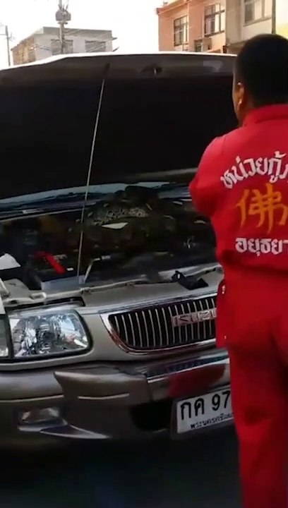 Ce qu'il découvre sous la capot de la voiture est incroyable : énorme python