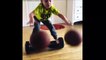 Cette fillette de 4 ans dribble avec 2 ballons de basket tout en faisant de l'hoverboard... Joli