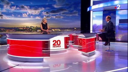 Affaire Vincent Lambert : la décision de la Cour d'appel est-elle surprenante ?