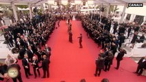 Marches arrière du 20 mai commentées par Mademoiselle Agnès - Cannes 2019