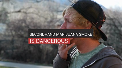 Secondhand Marijuana Smoke Is Dangerous