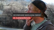 Secondhand Marijuana Smoke Is Dangerous