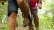 Two Boys Found Python Stalks Porcupine Nest - Porcupine Attack Snake - Python Vs Porcupine