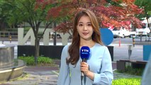 [날씨] 오늘 맑고 여름 더위...서울 25℃, 대구 29℃ / YTN