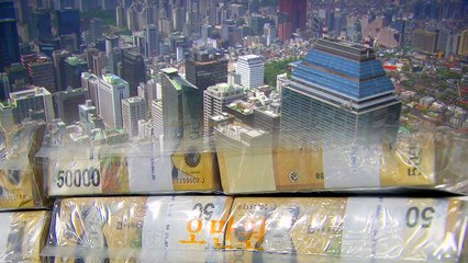 KDI "금리 내리고, 재정 확대해야" / YTN