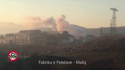 Stop-Maliq, fabrika e peletave shkaterron pyjet dhe ndot ajrin e qytetit. (25.03.2019)
