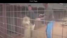 REAL#Wildly injured humans from animals